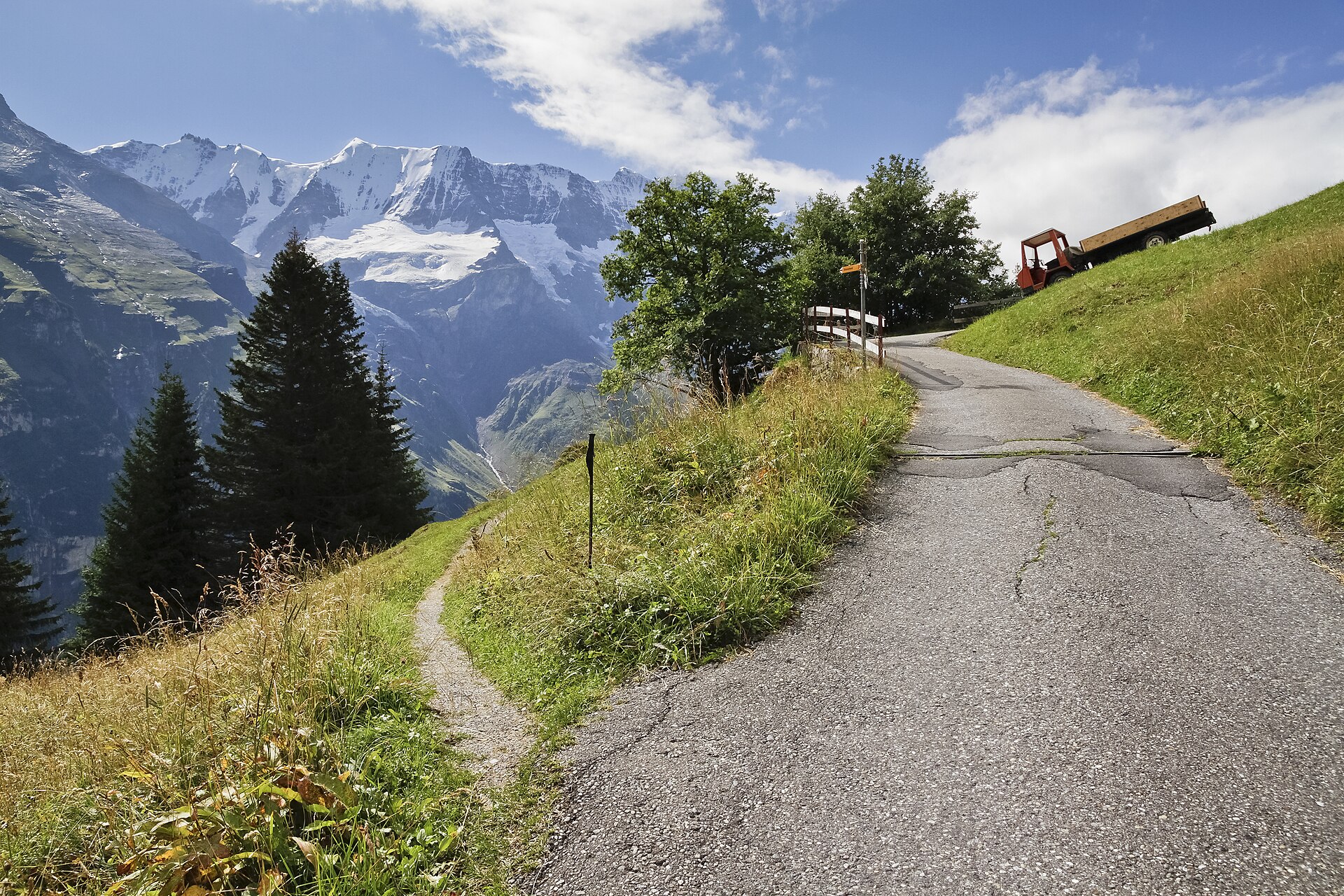 A trail in the Swiss Alps