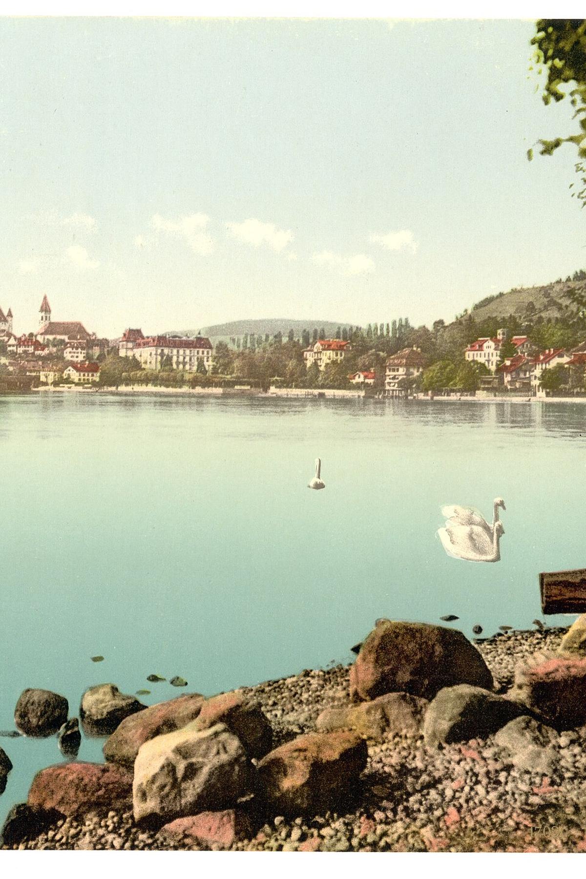 Lake Thun